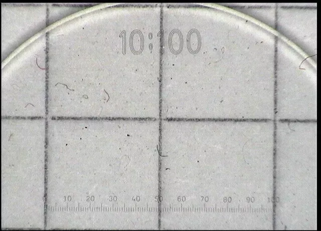 Carl Zeiss Okularmikrometer 10 mm in 100 Teilen Messokular reticle Ø 19mm + Dose 2