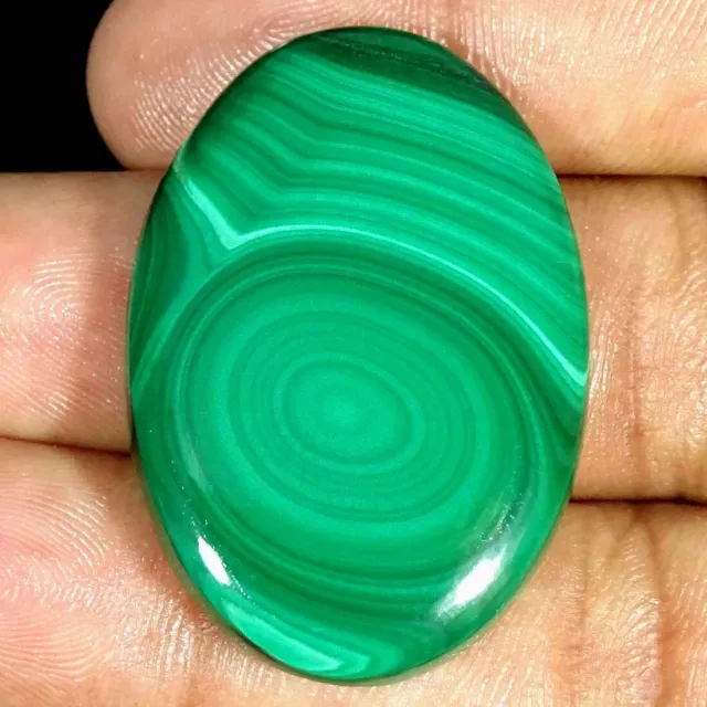 80.50Cts Natural Green Malachite Oval Cabochon Loose Gemstone