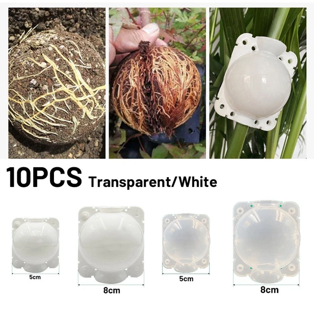 10x Reusable Plant Rooting Grow Box High Pressure Propagation Ball Layering/Pod