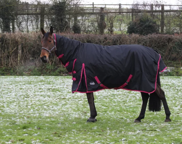 Heavy Weight Horse Turnout Rug 600D Waterproof Winter 350g Turnout Rug