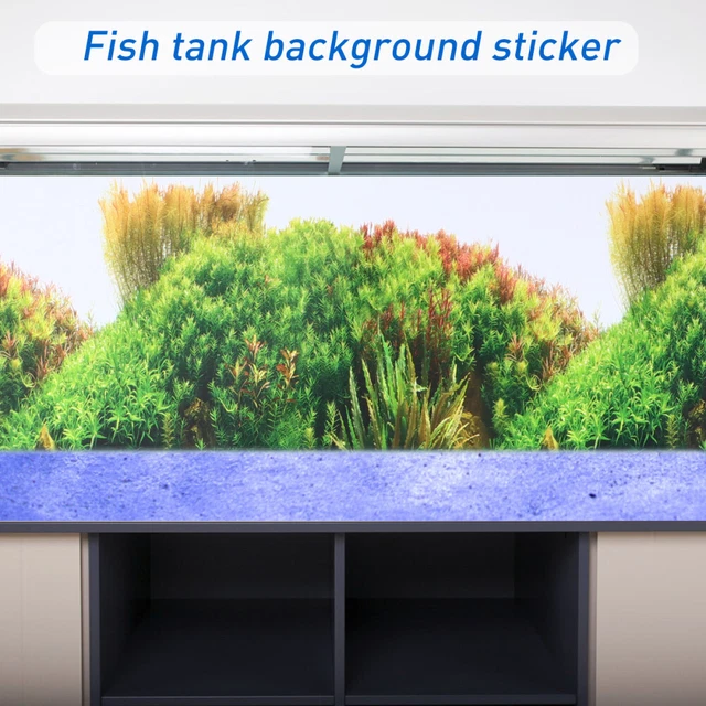 Aquarium Image de Fond Aquarium Décoration Milieux 11