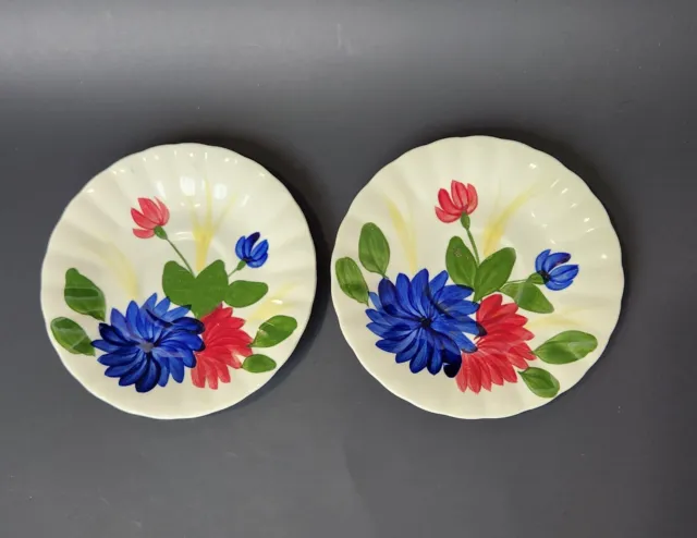 Blue Ridge CHRYSANTHEMUM PATTERN Hand Painted 2 plates Vintage Southern Pottery