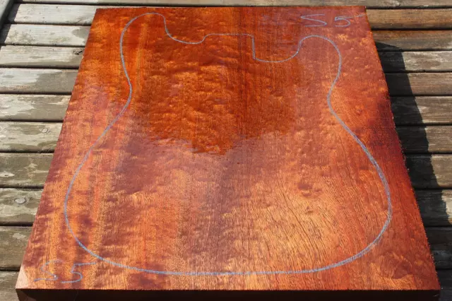 POMELLE/GESTEPPTE SAPELE einteiliger Gitarrenkörper leer 505 x 383 x 46 mm S5