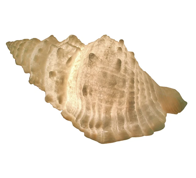 Zeckos Giant Off-White Decorative Horned Conch Shell Accent Lamp 17 in.