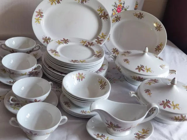 Solian Ware Simpsons (Potters) Ltd Cobridge England Dinner Set