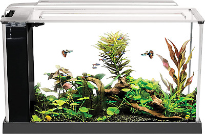 Fluval SPEC Aquarium Kit, Aquarium with LED Lighting 3-Stage Filtration