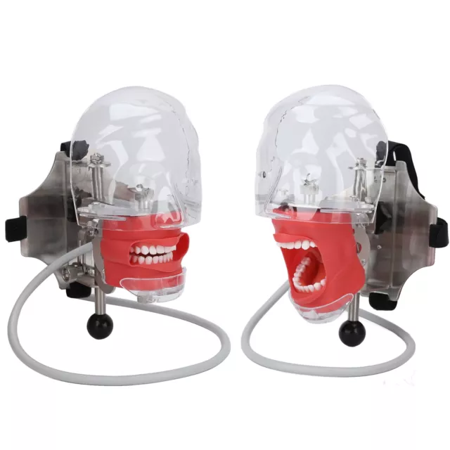 Dental Simulator Nissin Manikin Phantom Head Model With Style Bench Mount CHU