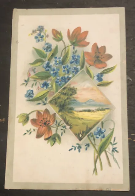 1800’s  VICTORIAN TRADE CARD WOOLSON SPICE LION COFFEE Floral Pastoral