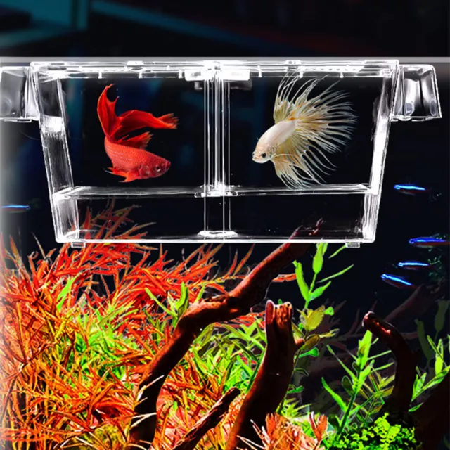 Aquarium Fish Breeding Isolation Box Fish Tank Breeder Double Incubator