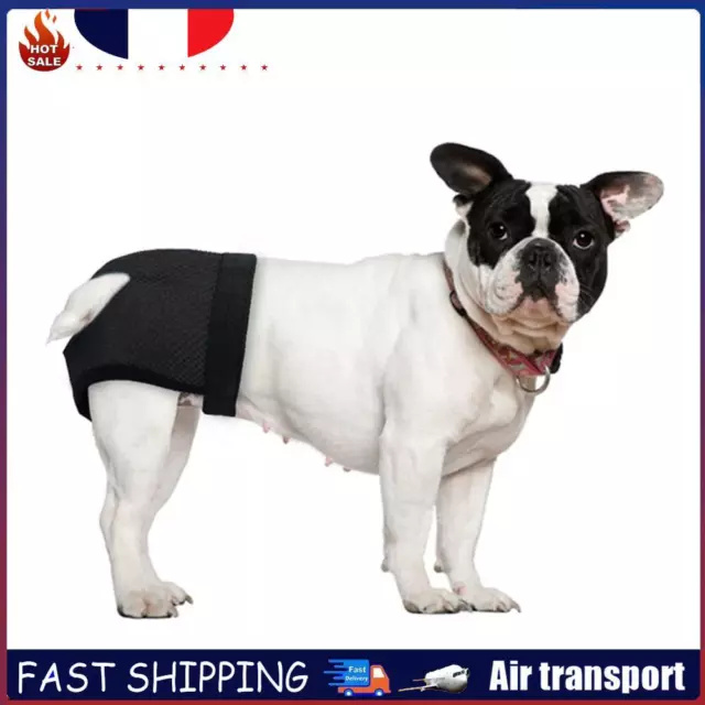 Pantalon physiologique pour chien femelle, couche-culotte hygiénique lavable (no