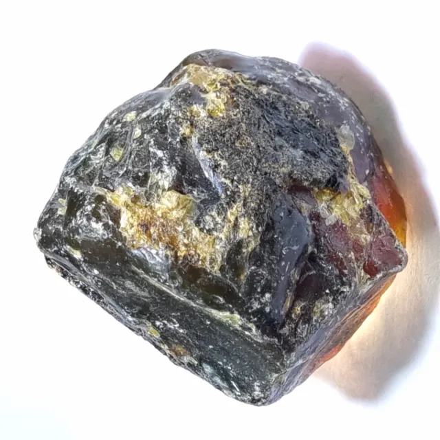 150.95 Carat Natural EGL Certified Baltic Amber Translucent rough Loose Gems