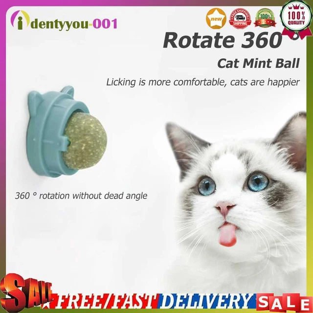 Bola giratoria de menta para gato, bolas naturales para gatos, molares-menta para gatos-Sn