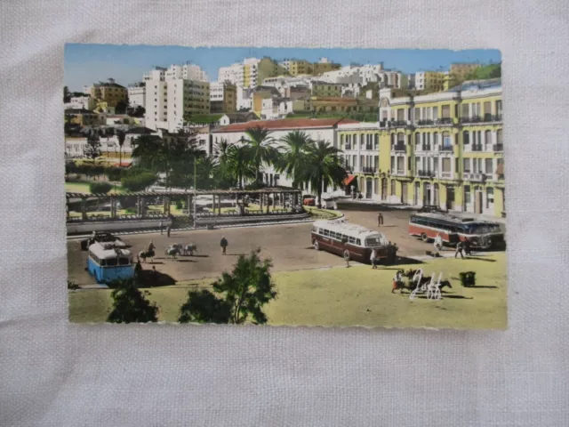 Cpsm Afrique Maroc Tanger Avenue D'espagne