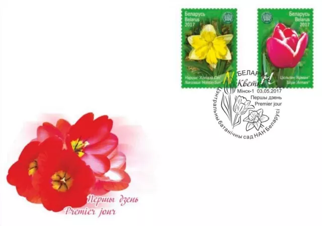 Belarus 2017 Mi BY 1193-4 - Flowers (Narcissus, tulip) - 1 FDC