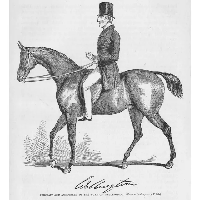 The Duke of Wellington on Horseback - Antique Print 1898