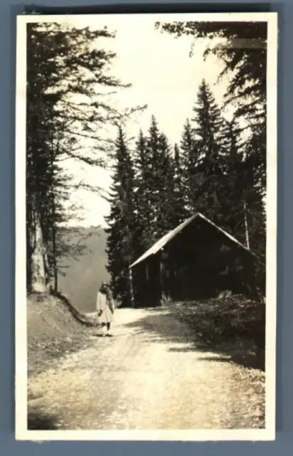 France, Environs de Grenoble, Route dans les bois  Vintage silver print.   Tir