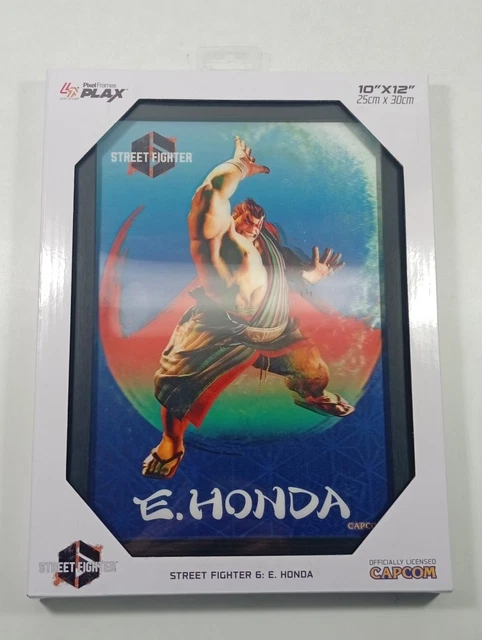 Pixel Frames Street Fighter Alpha 2 A Dramatic Battle 23x23cm - Spel & Sånt: The video game