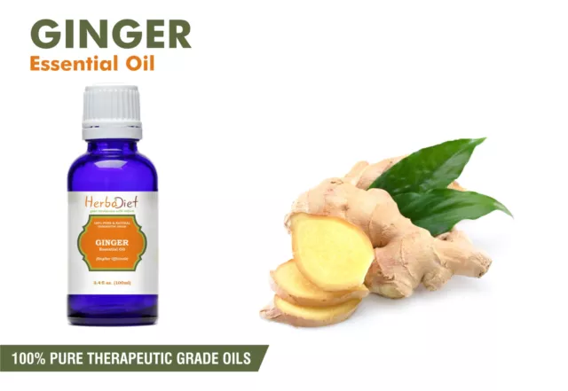 Natural Ginger Essential Oil 100% Pure Aromatherapy Oils Therapeutic Grade