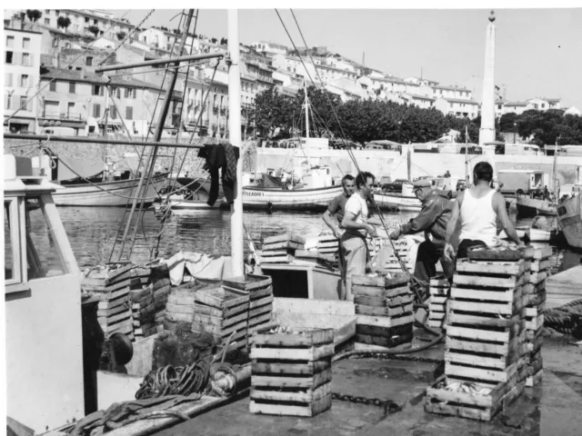 Port Vendres  24 X 18 Tirage Argentique Annees 60 Photographie Photo Ancienne