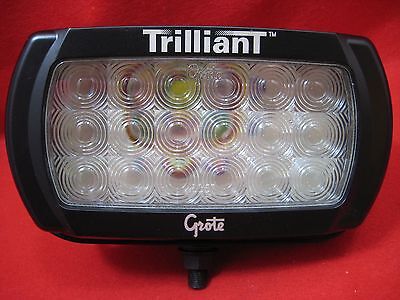 Grote  Trilliant LED  White Light Clear  Lamp 24V # 81834  01636770