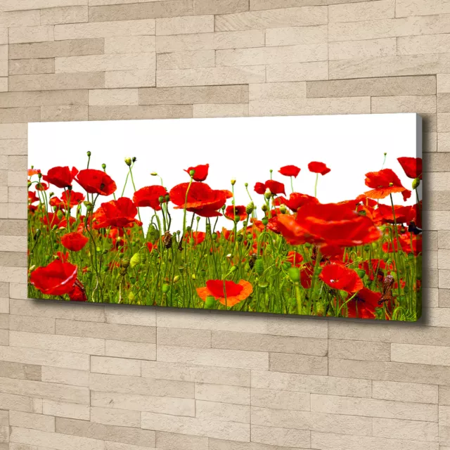 Pintura de La Pared Para Salón Decoración del Hogar 125x50 Amapolas de campo