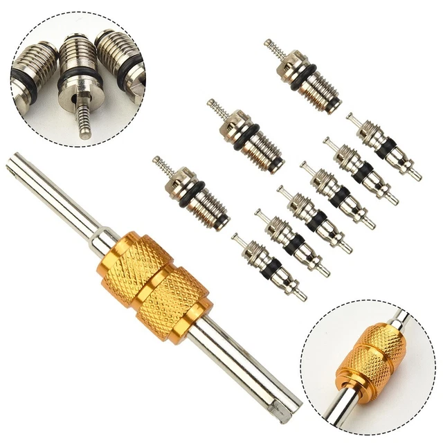 Riloer Valvole Aria Condizionata Auto R134a/R12 - Nucleo Valvola Con 2 Strumenti Di Rimozione, Durevole