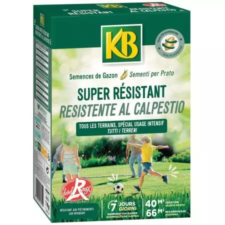 Semi per prato Resistente al Calpestio KB