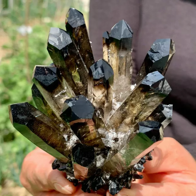New Find black Phantom Quartz Crystal Cluster Mineral Specimen Healing Gift new
