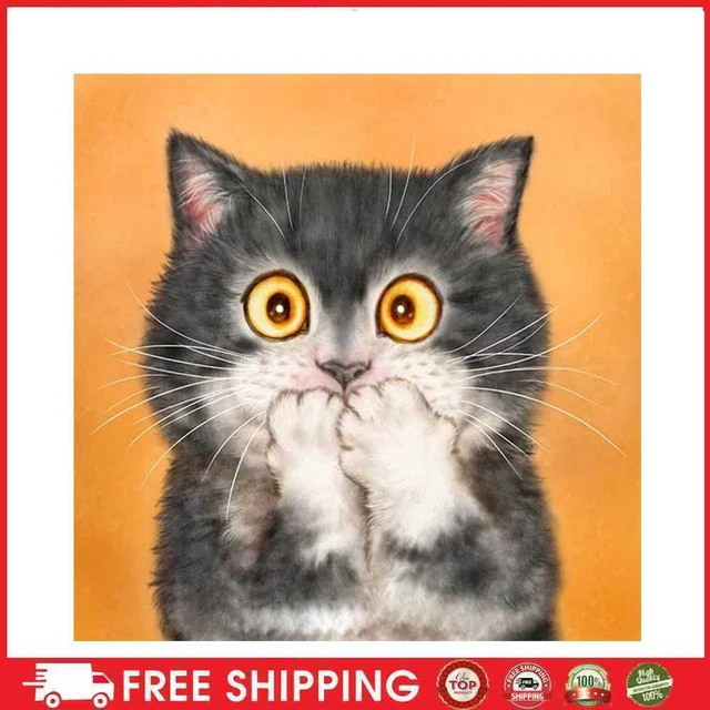linda y divertida pintura de diamantes de gato 5D hágalo usted mismo taladro redondo completo imagen