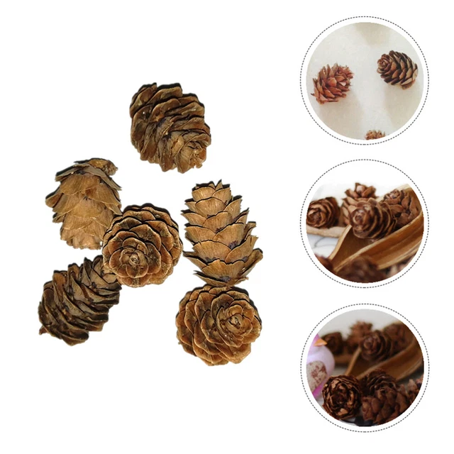 50 Pcs Pommes De Pin Séchées Ornements Noël Petite Décoration Fruit Sec