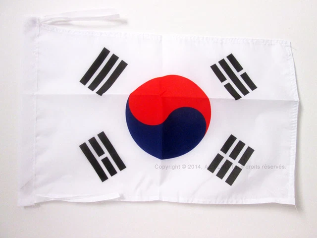 3d, Vecteur, Drapeau Aique Du Sud, Bouton Brillant, Emblème National Sud-aicain, Icône