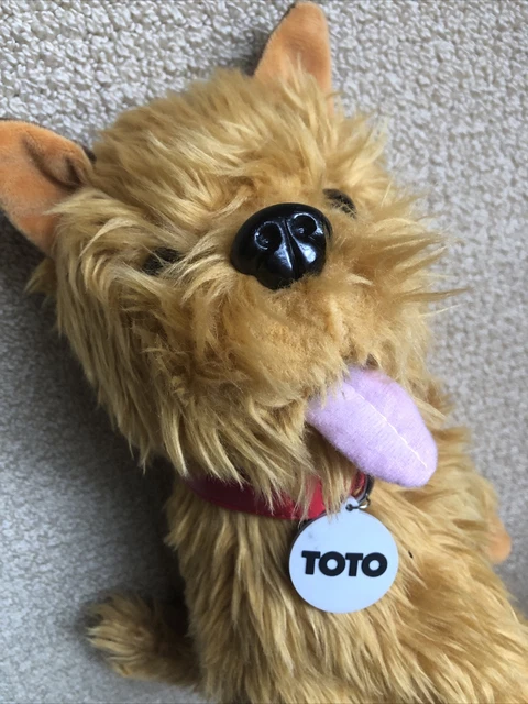 Toto shop plush toy