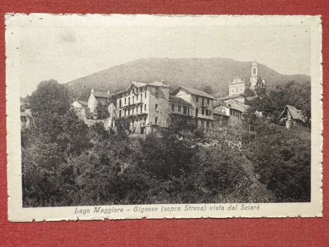 Cartolina - Lago Maggiore - Gignese ( sopra Stresa ) vista dal Sciarè - 1930 ca.