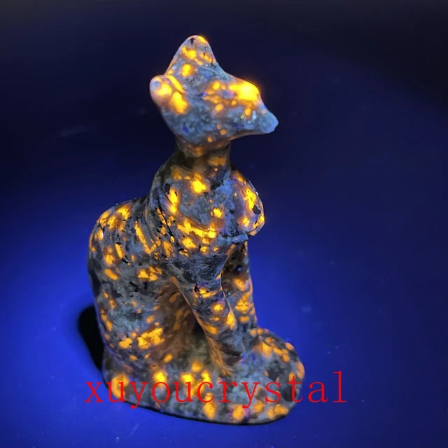 1pcs Natural Yooperite Hairless Cat Quartz Crystal Skull Carved Figurines  3"