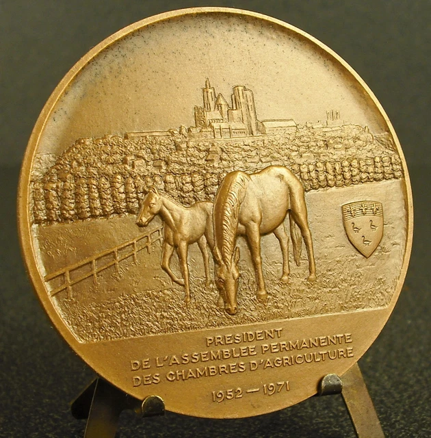 Médaille Art Déco Robert Cochet (c.1935) - Bronze Encadrée - Sans Rayures