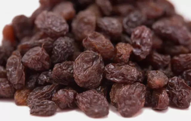 California Seedless Thompson Raisins Wholesale/Bulk Lots ~1lb-12lb