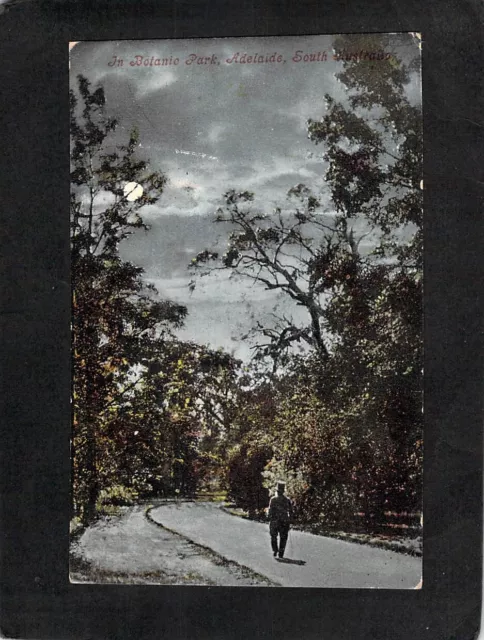 B9782 Australia SA Adelaide Botanic Park man top hat vintage postcard