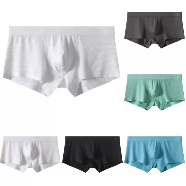 Short modal pour hommes boxer slips sous-vêtements respirants malles avec poche