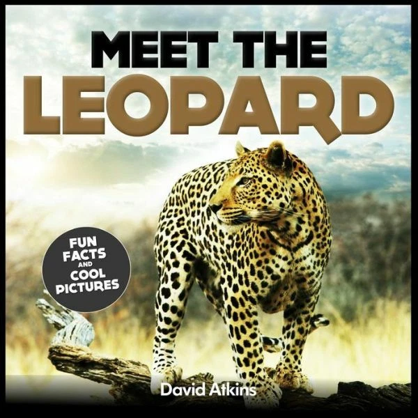 MEET THE LEOPARD: Fun Facts & Cool Pictures $13.83 - PicClick