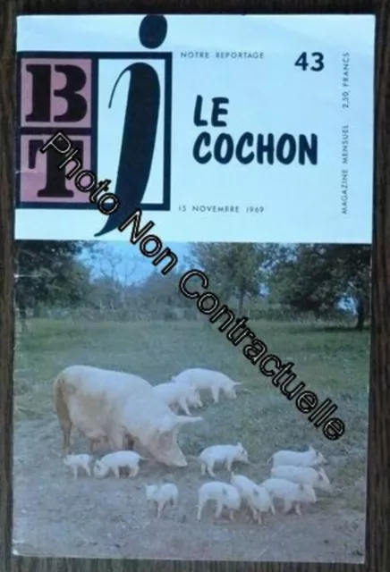 Btj Bibliothèque De Travail Junior N°43 : Le Cochon (Pédagogie Freinet