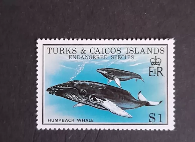 turks and caicos islands stamp $1 MNH. Endangered Species. Humpback Whale