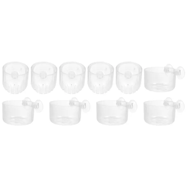 10 Pcs Tasse De Plantes Aquatiques Aquarium Mini-pots Fleurs Un Verre Étagère