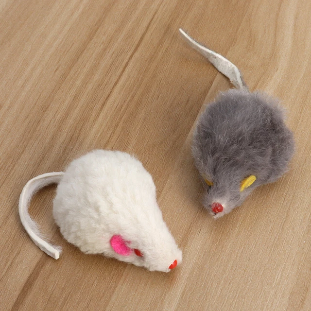 5 Pcs Jouets Morsure De Chat Souris Chaton D'entraînement Pour Petits Animaux