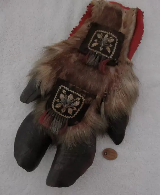 Very Nice Old Huron Moose Hoove Wall Hanging With Doc--Nr!