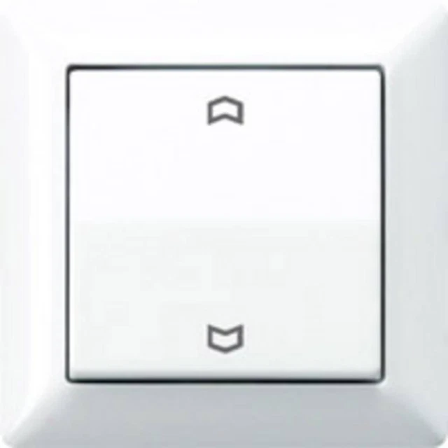 Jung simple Insert Bouton-poussoir blanc-alpin AS590PWW