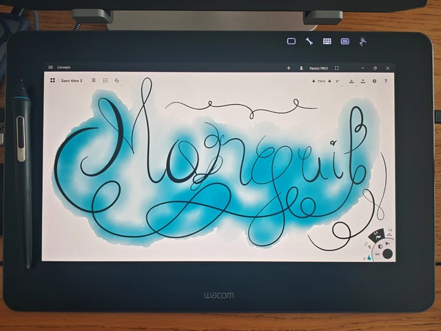 Stylet Et Tablette Graphique Wacom Cintiq Pro 13 - DTH1320 - Écran Tactile - Occasion