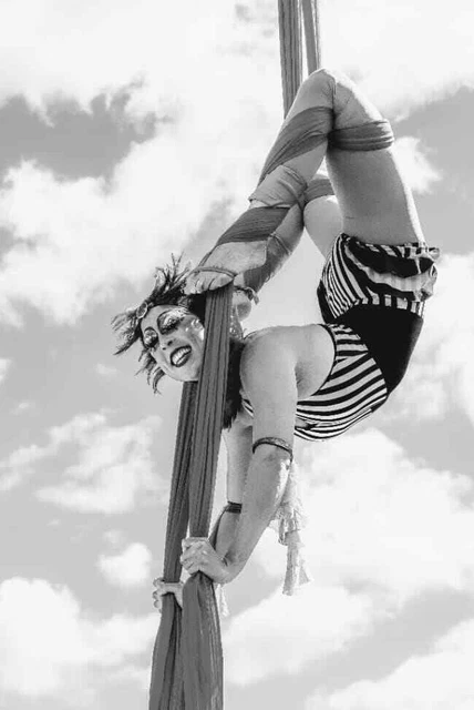 Vintage Circus Sideshow Photo 1201b Oddleys Strange & Bizarre