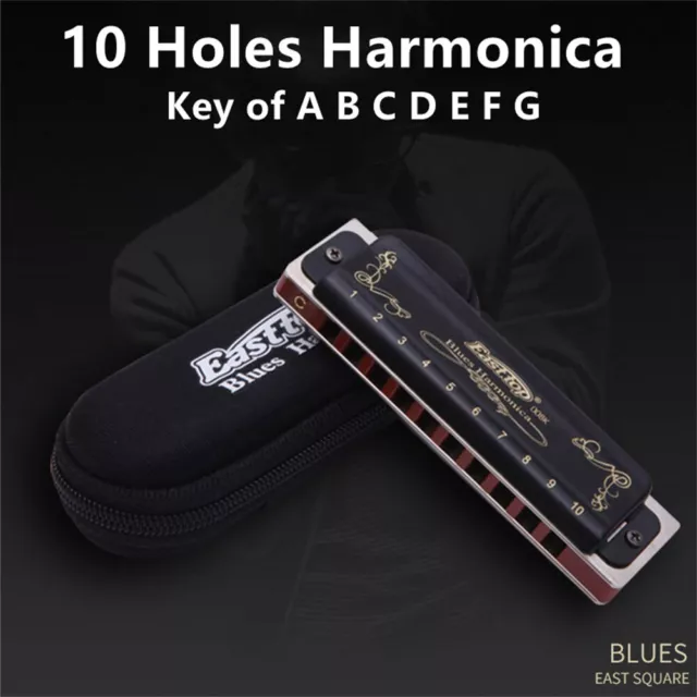 10-Trou Diatonic Blues Harmonica Clé de pour les Adultes Professionnel  Durable Robuste 