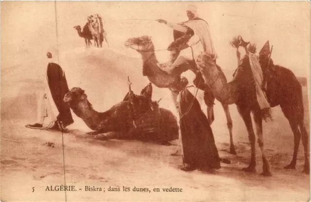 CPA AK Geiser 5 Algérie BISKRA dans les dunes en vedette ALGERIA (756378)