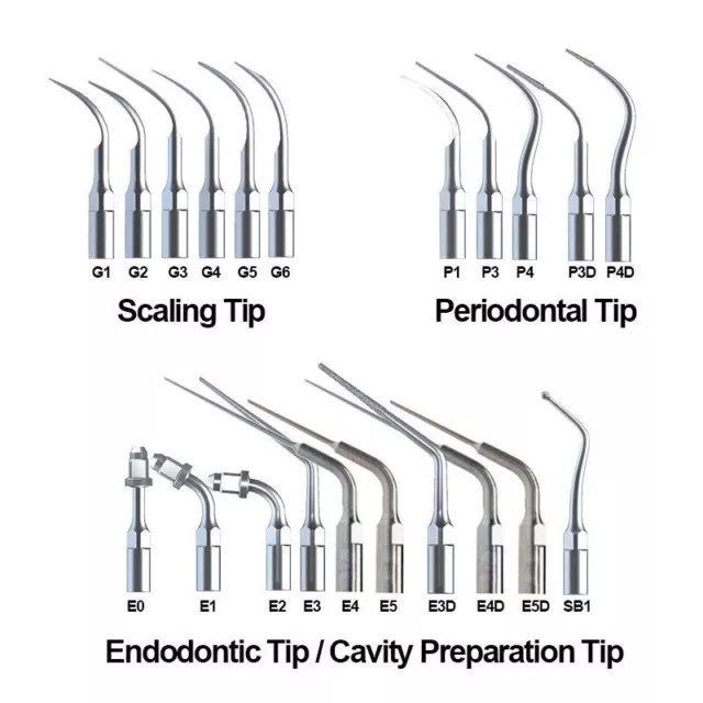 Dental Ultrasonic Scaler Endo Perio Tips Fit EMS/DTE SATELEC/KAVO /NSK SIRONA UK
